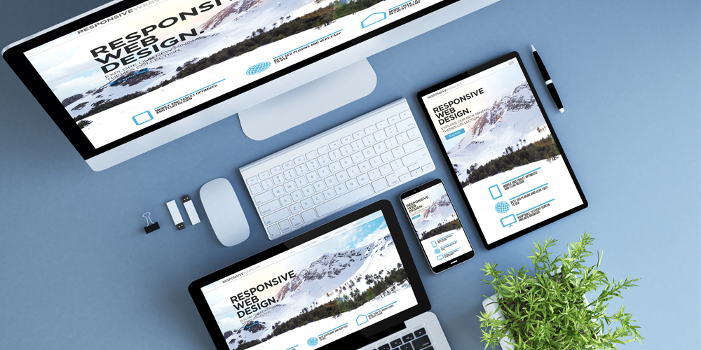 Atelier SeeZoo　WEBサイト運営・更新代行